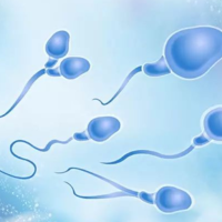 生男生女到底是由父母谁来决定的?