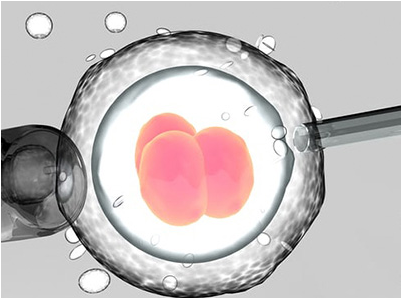 试管婴儿胚胎移植成功后为什么要吃保胎药？