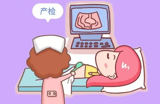 产检项目费用指南