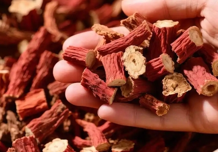 归参补血片的功效与作用，一文让你全明白！