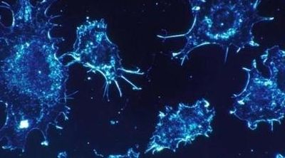 北京华博不孕不育医院怎么样?一位生殖咨询师说了几句大实话