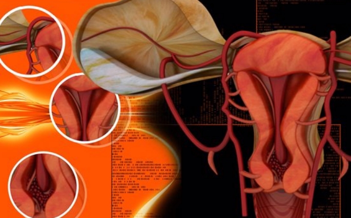 子宫动脉血流缺失影响移植