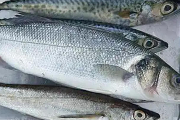 孕妇可以适量食用银鳕鱼