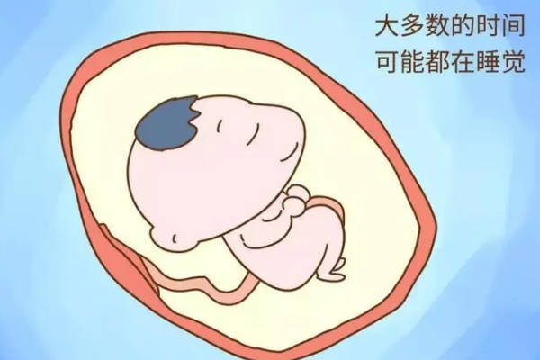 宝宝可能喜欢睡觉