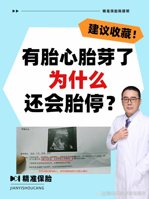 两年跑遍北京生殖中心，两次胎停，32岁林薇：到底哪里出了问题？