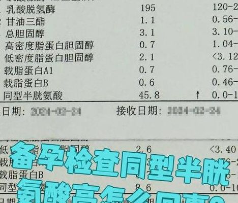 备孕查同型半胱氨酸意义有多大？5个判断维度帮你拿主意