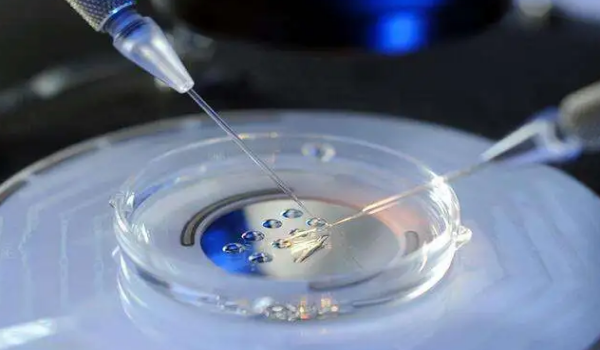 取卵19个能配多少胚胎,每个胚胎的质量都好?