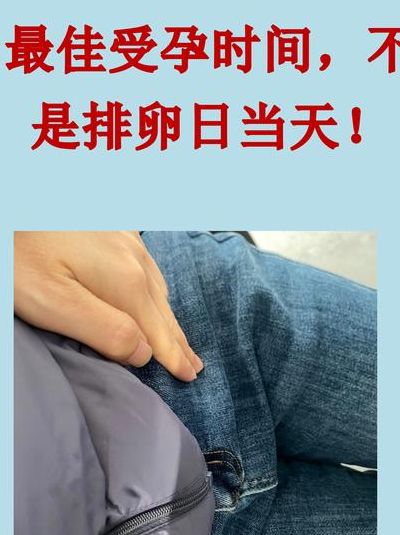 排出的卵可以存活几天？备孕这么久你可能一直算错了时间