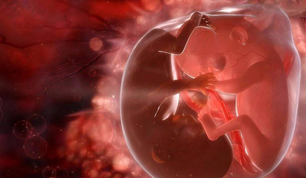 怀孕16周胎儿真实图