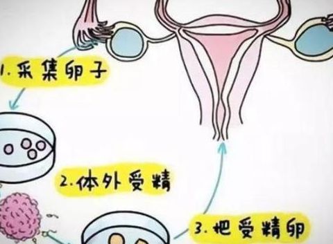 福建试管婴儿医院排名优质的医院，我陪她跑了三年才明白