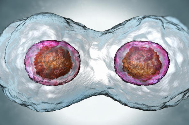 年龄会影响试管成功