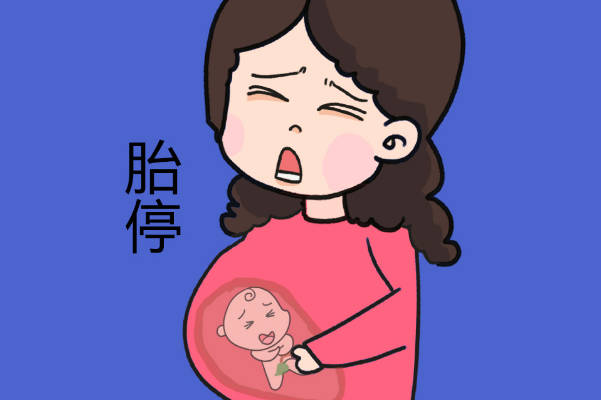 为什么只要怀孕前3个月没流血宝宝就没那么容易胎停呢？