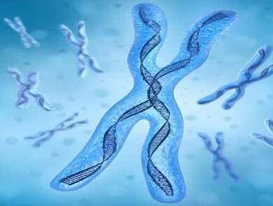 高龄备孕双方染色体异常怎么做试管?