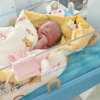 大连试管婴儿选择男孩：费用全解析与实用贴士