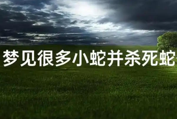 孕妇梦见杀蛇不一定代表凶兆