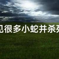 孕妇梦见杀蛇：一文了解是凶兆还是吉兆别再自己吓自己了