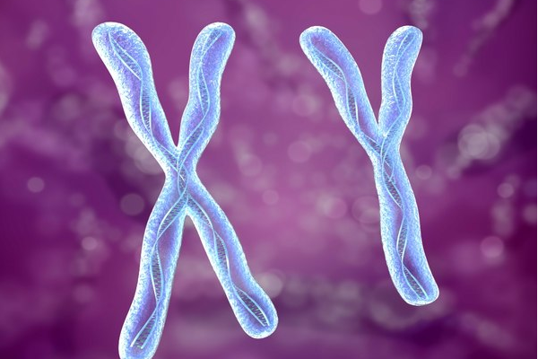 盘点y染色体缺失后选择做试管的后果，易造成胚胎质量下降