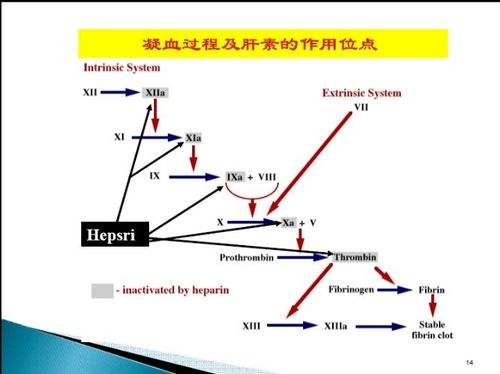 低分子肝素钠的作用与功效