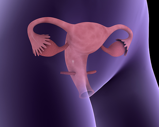 内膜异常会影响胚胎着床