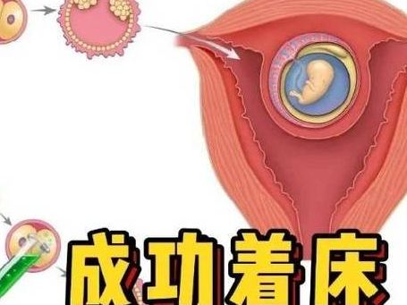 提高试管着床的秘诀究竟是什么？生殖中心咨询师说出了大实话