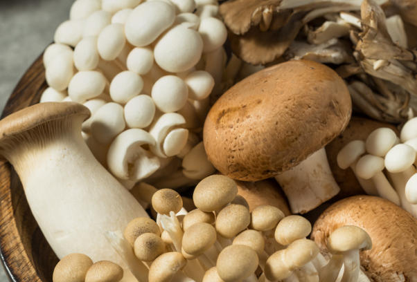 尿蛋白高不能多吃菌菇