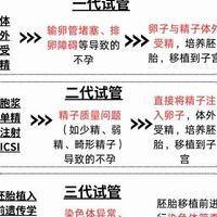 试管跟人工受精的区别PK：适用人群、流程与费用谁更优？