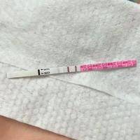 试纸32天强阳暗示生双胞胎?科学拆解误区