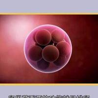 高龄备孕怎样提高卵泡质量？先查这3项再调生活方式