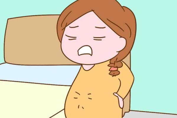 胎动不能判断胎儿性别