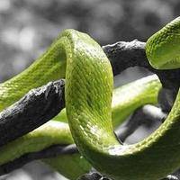 孕妇梦见别人怀孕是什么意思？试管多少钱？过来人帮你梳理5笔开销明细