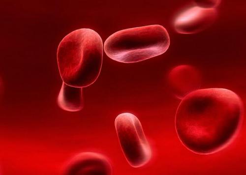 红细胞压积偏高的原因是什么   有哪些危害