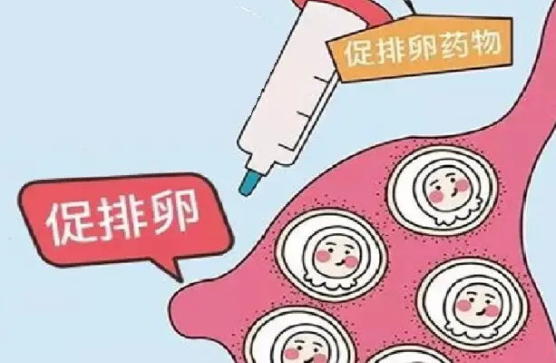 高龄女性做第3代试管一般什么时候进入促排卵阶段比较好？