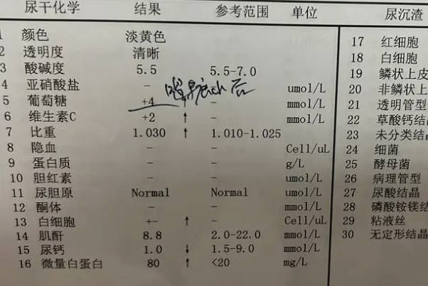 糖耐检查结果能反映血糖调节能力