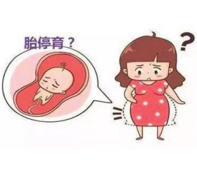 试管婴儿为什么会停胎？导致胎停的原因