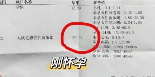 试管移植医生根本不看hcg值，34岁小周却为89一夜没睡