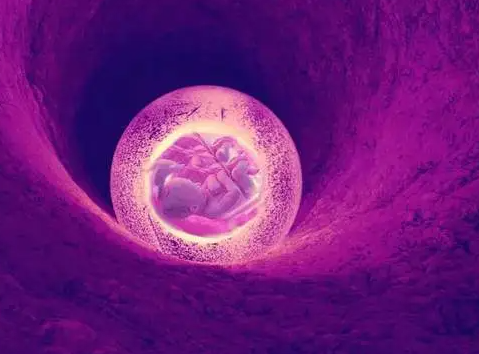 试管移植两个胚胎只成活一个，对另一个有影响吗？