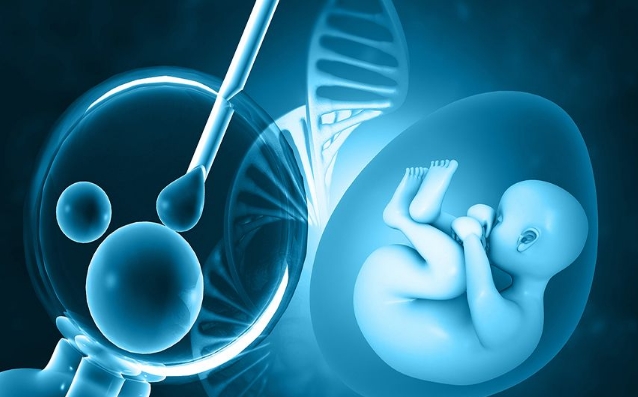 北京试管婴儿宫外孕几率