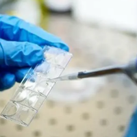 盘点试管移植后第4天打立生素的作用，可促进卵泡的发育