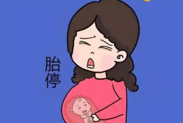 B超检查设备分辨率差会影响听胎心