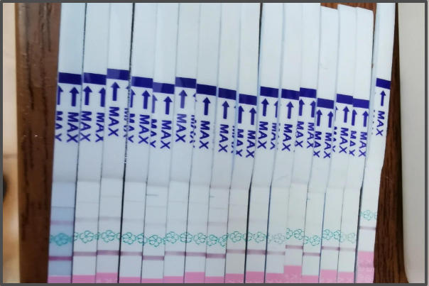 周期28天者从第11天开始用排卵试纸检测