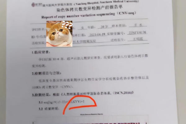 羊水穿刺报告无法判断胎儿性别
