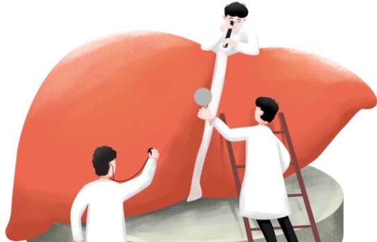 女人养肝护肝的六个妙方