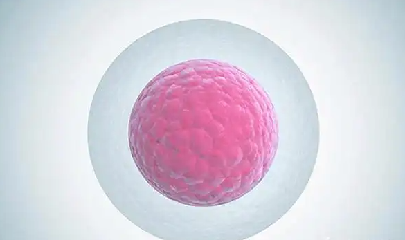 移植成功率与多种因素有关
