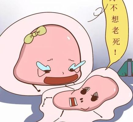 泰国好的试管婴儿医院哪家靠谱？三步判断法避开选择坑