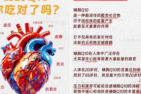 辅酶q10不能随便吃，我做试管前没人告诉我的真相