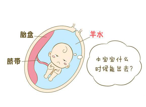 补羊水最快的正确方法有哪些