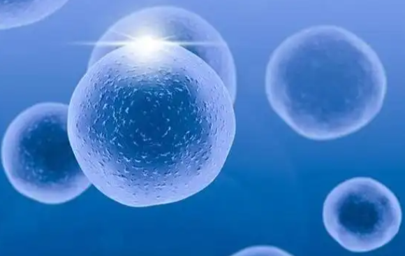 影响试管费用因素较多