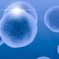 美国试管婴儿费用全解析：从组成到省钱技巧