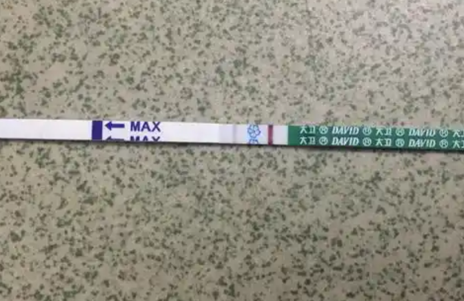 hcg浓度低测不到怀孕