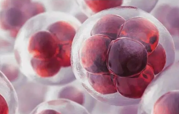 孕期红细胞低